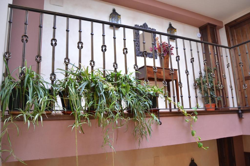 Fotografia z galérie ubytovania Hostal Toribio v destinácii Galaroza
