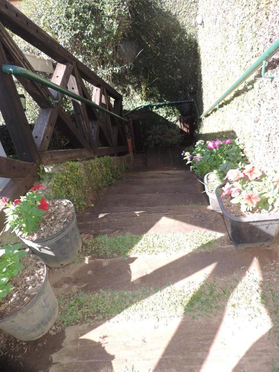  Refugio Fofo - casa de temporada