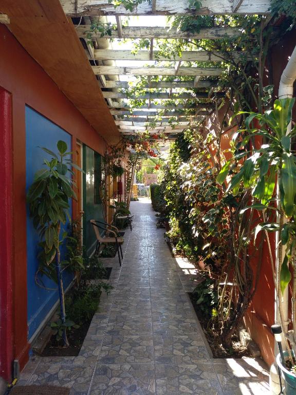 Zahrada ubytování Hostal Michel