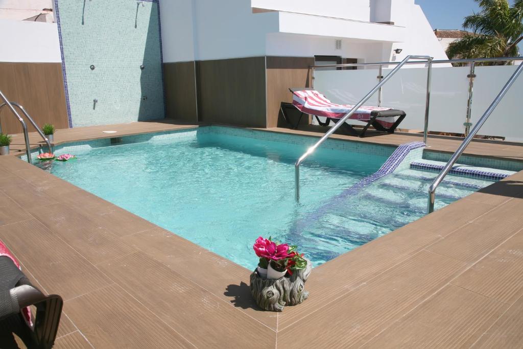 een zwembad met een pot bloemen erin bij Apartamentos Balcón de Nerja - Adults Only in Nerja