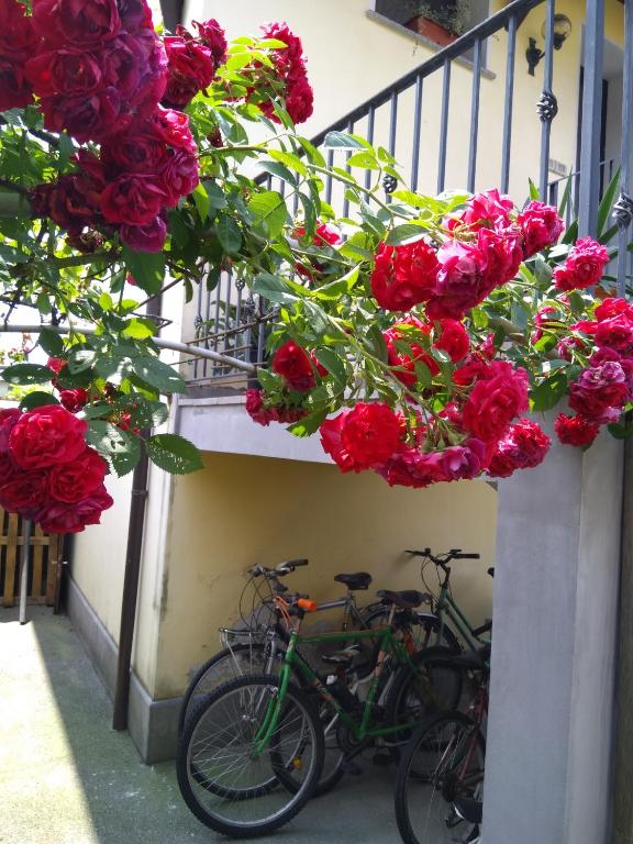Jízda na kole v ubytování B&B NONO TILIO nebo okolí