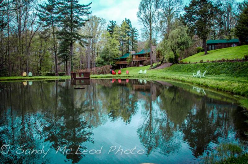 a pond in a park with a house in the background at Asheville Cabins of Willow Winds in Asheville