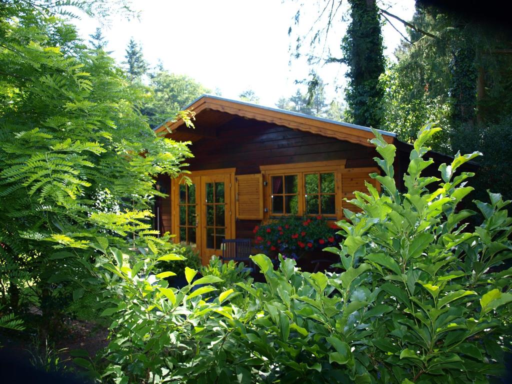 een kleine houten hut midden tussen de bomen bij Bed En - of zonder - Breakfast Putten in Putten
