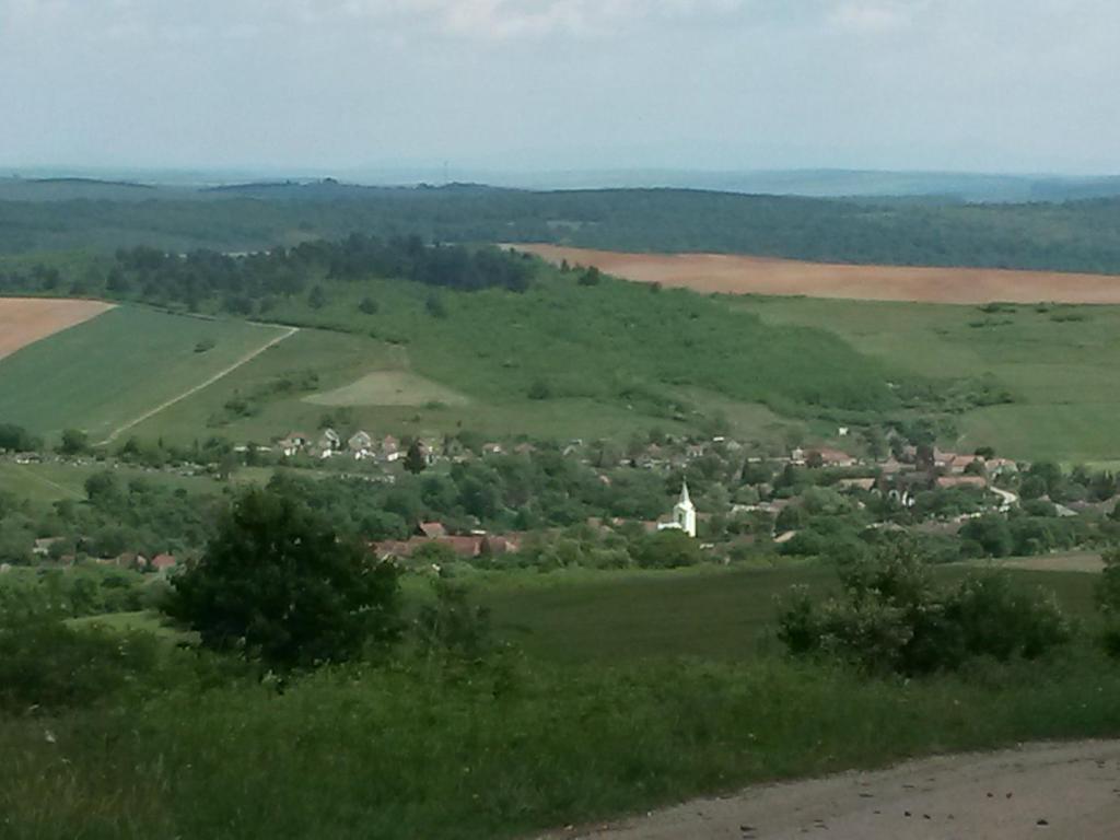 Príroda v okolí penziónu