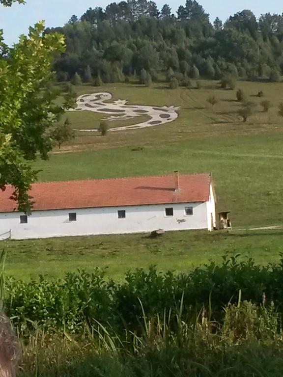 Príroda v okolí penziónu