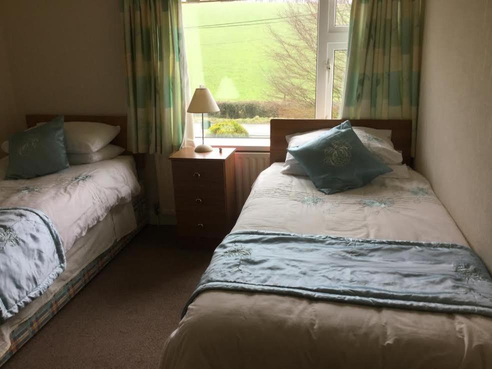 1 dormitorio con 2 camas y ventana en Hillview House, en Cootehill