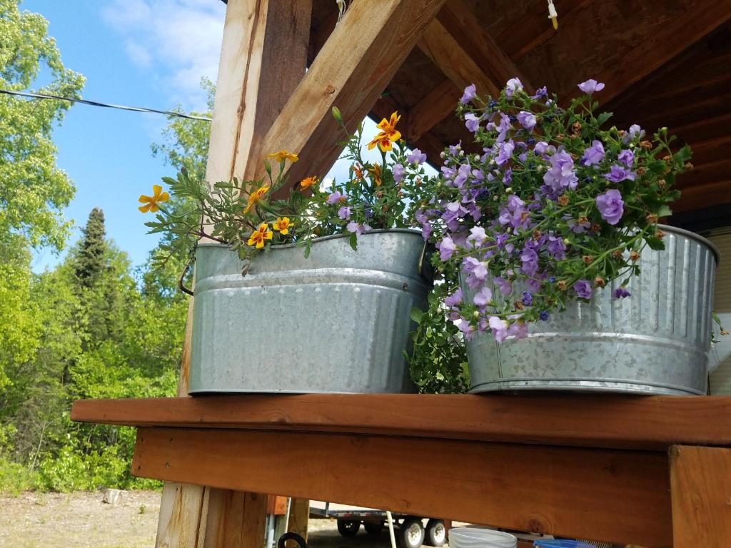 Zahrada ubytování Cache Cabins