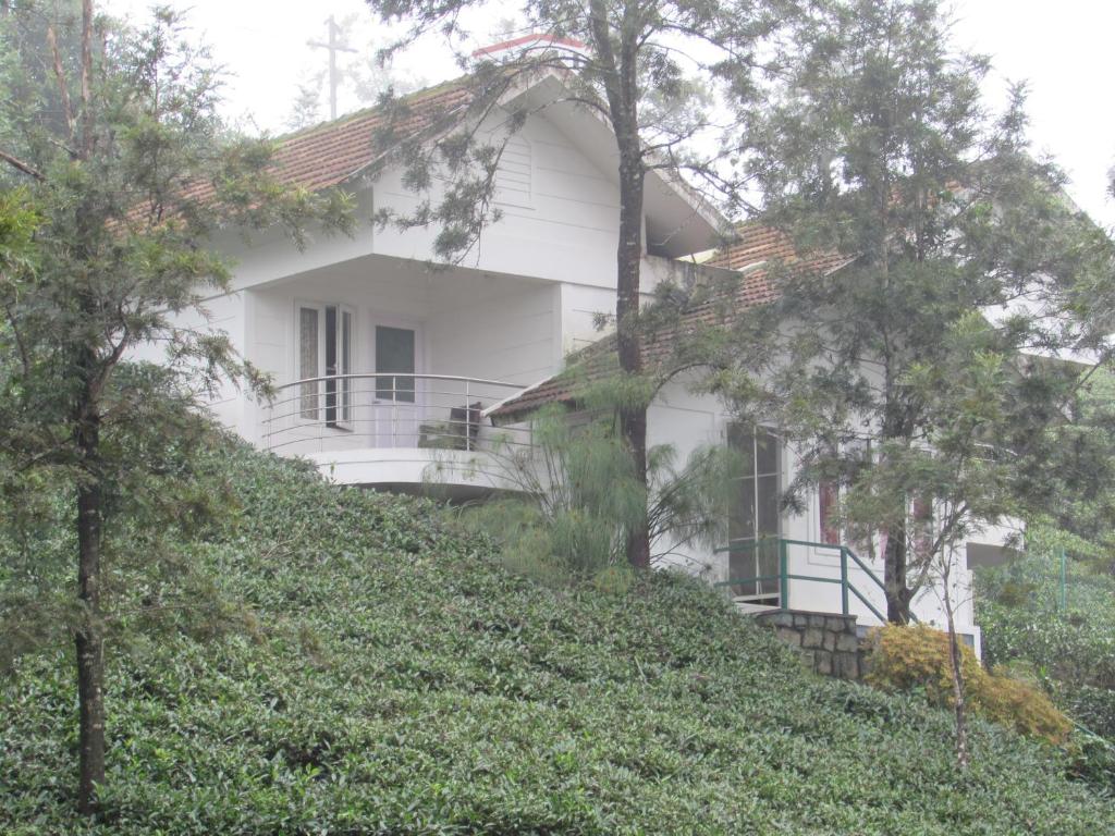 Zahrada ubytování Falcon Crest