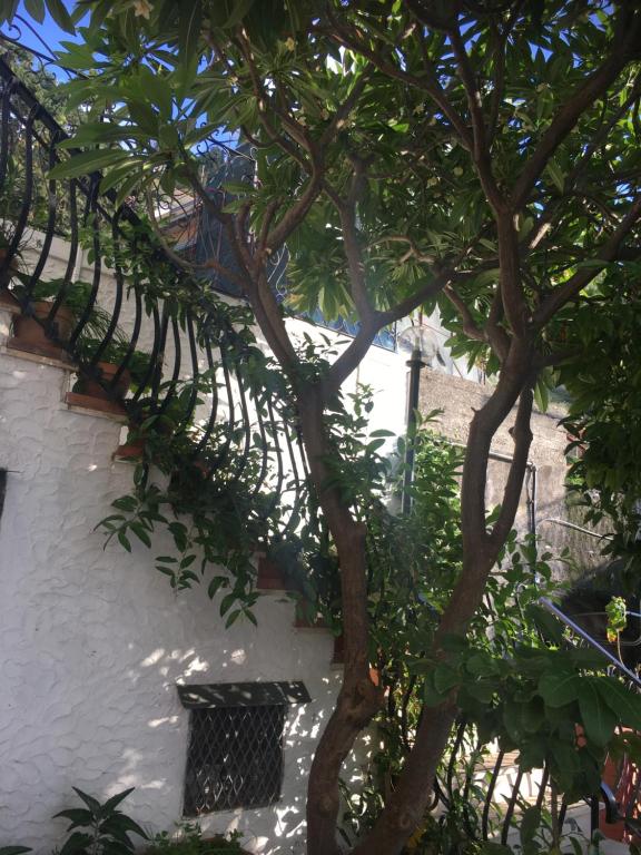 a tree in front of a white building with a staircase at Holiday Home Gionny & Mary in Taormina