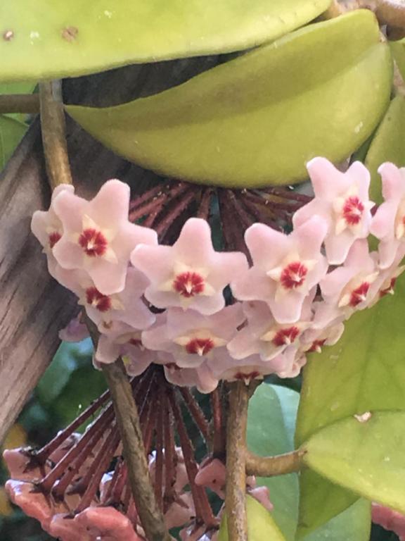 Gallery image of Carrer Dels Horts in Alghero