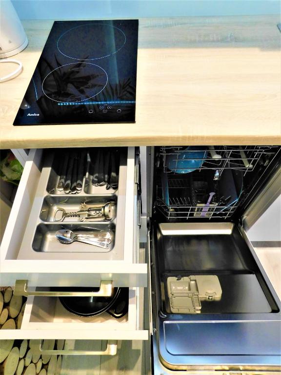 Kuchyňa alebo kuchynka v ubytovaní Apartament Egzotyczny