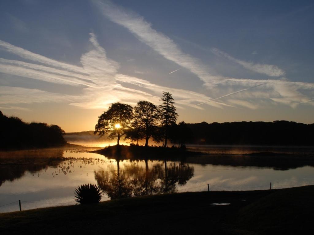 a tree in the middle of a lake at sunset at Slebech Park Estate in Wiston