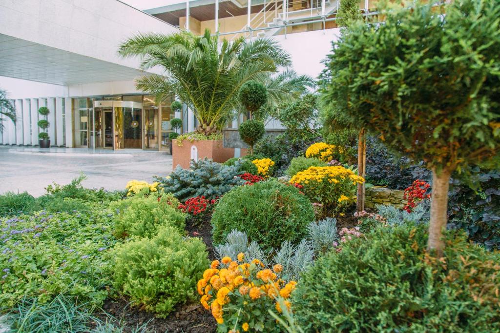 Zahrada ubytování Zhemchuzhina Grand Hotel