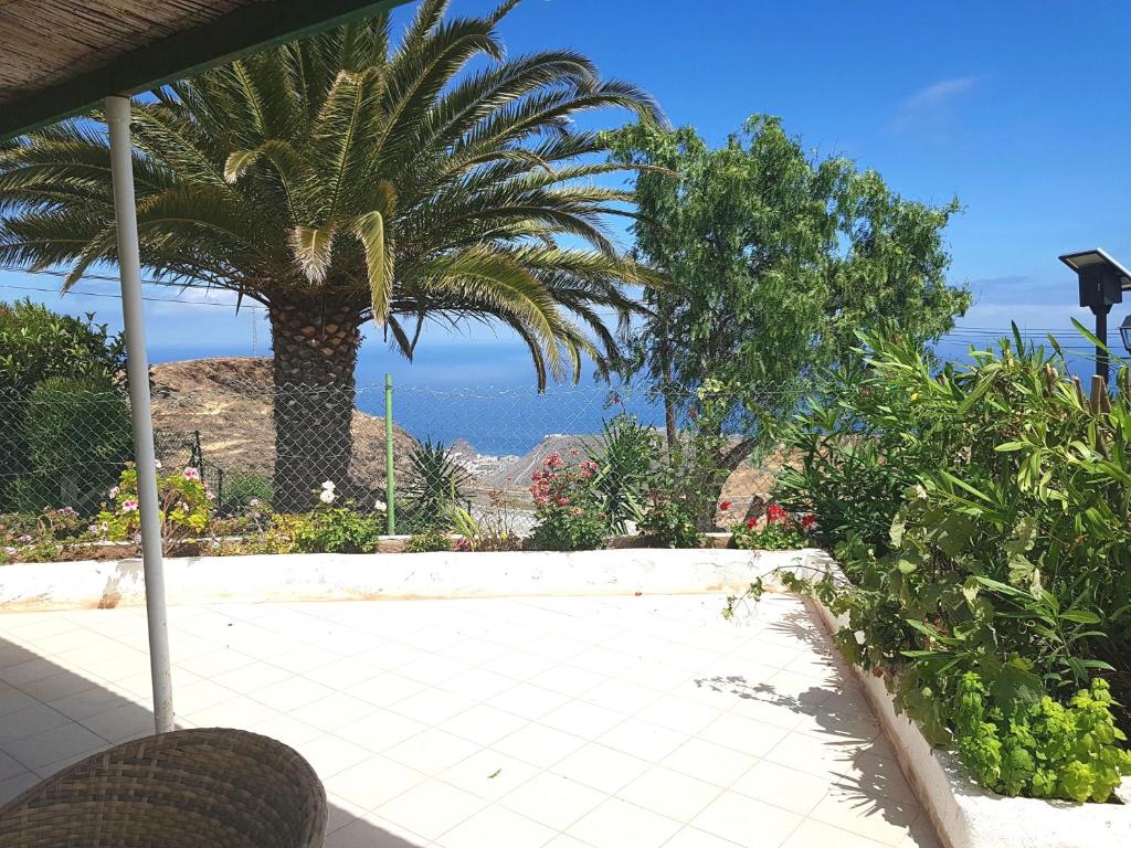a palm tree in a garden with a view of the ocean at Casa Kiko in Playa de Santiago
