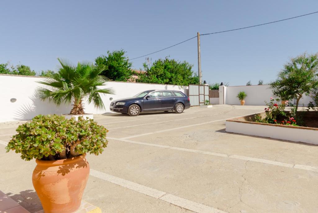 Fotografie z fotogalerie ubytování Casa Mariana v destinaci Conil de la Frontera