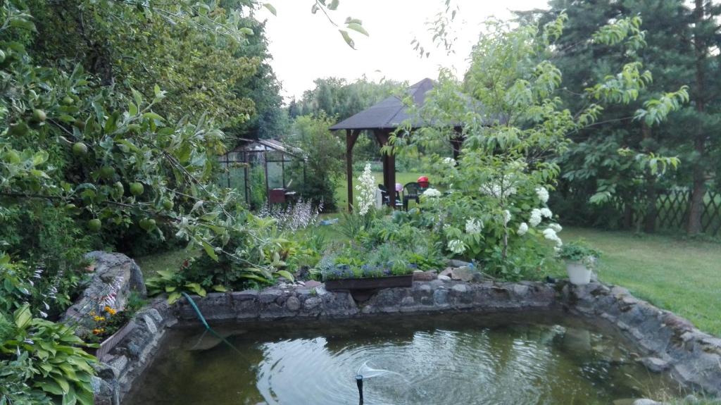 pokoje do wynajecia في غيجيتسكو: حديقة بها بركة بها شرفة