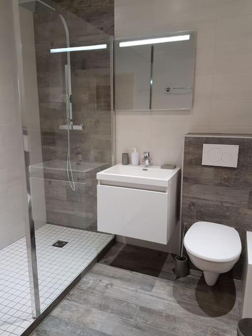 une salle de bain avec une douche, des toilettes et un lavabo dans l'établissement Executive Studios near Basel, à Saint-Louis