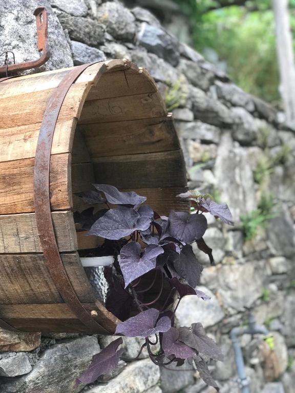 Fotografie z fotogalerie ubytování B&B Osteria Morganti v destinaci Someo