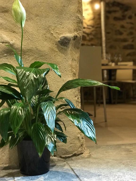 Fotografie z fotogalerie ubytování B&B Osteria Morganti v destinaci Someo