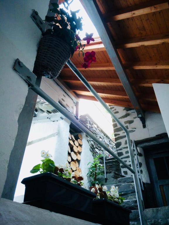 Fotografie z fotogalerie ubytování B&B Osteria Morganti v destinaci Someo