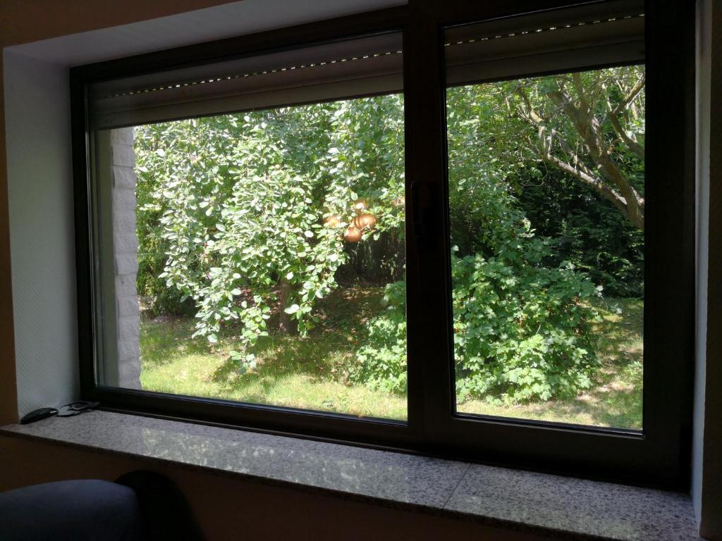 uma janela com vista para uma árvore em Messe und Monteurzimmer Sehnde em Sehnde