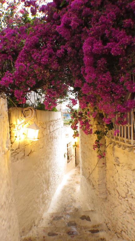 Fotografie z fotogalerie ubytování 8 oDa Marmaris v destinaci Marmaris