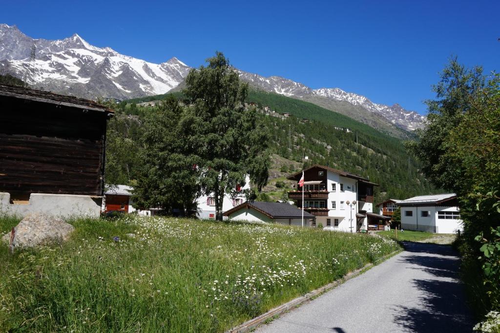 Příroda nedaleko apartmánu