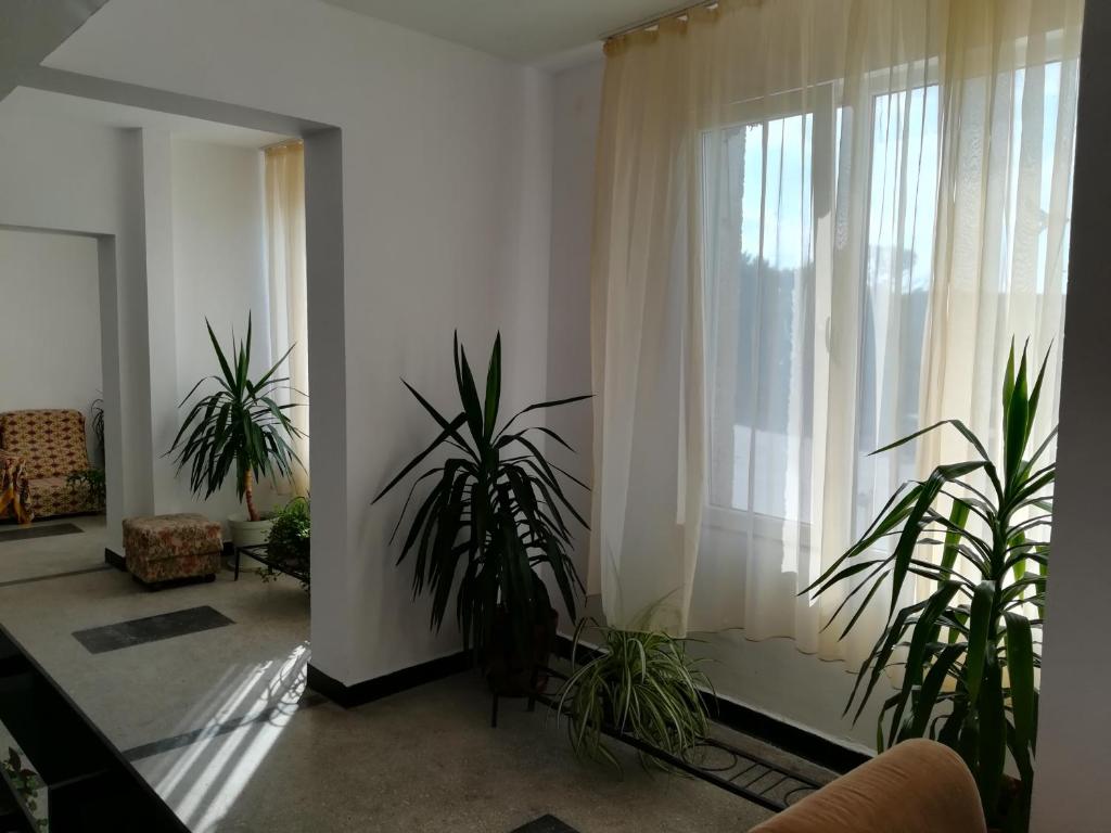 a living room with plants and a large window at Hostel Shabla in Shabla