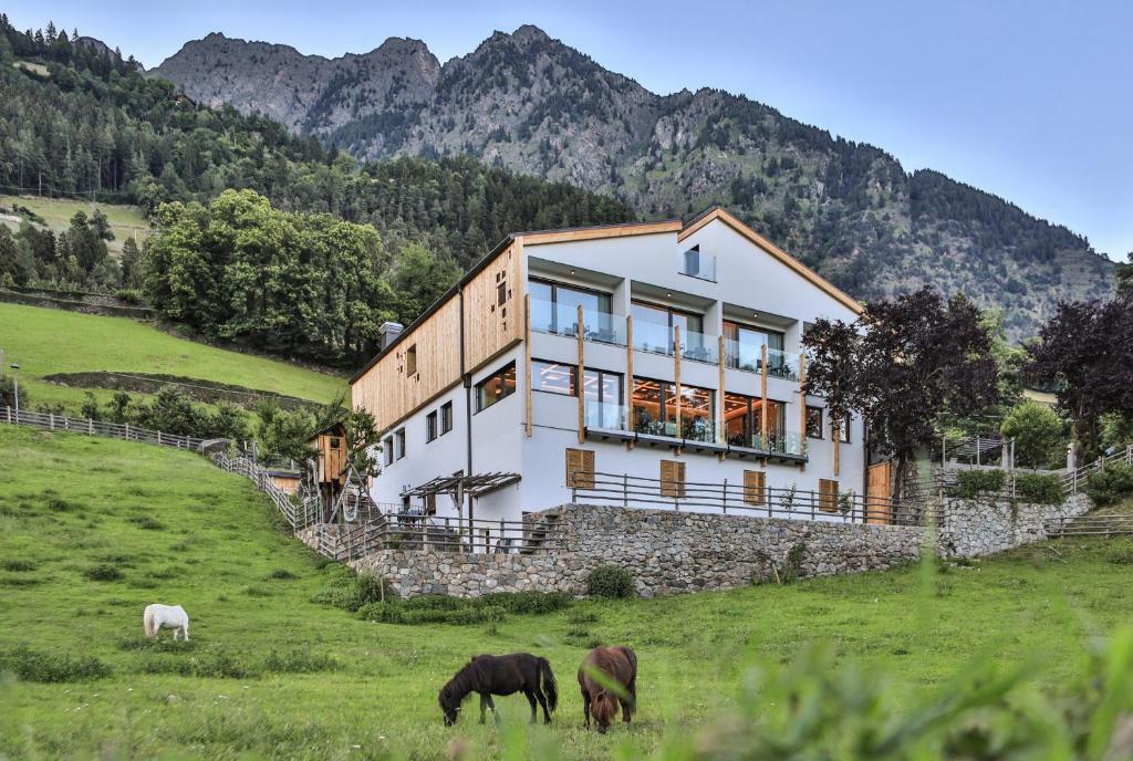 dom na wzgórzu z końmi pasącymi się na polu w obiekcie Ladurner w mieście Lagundo