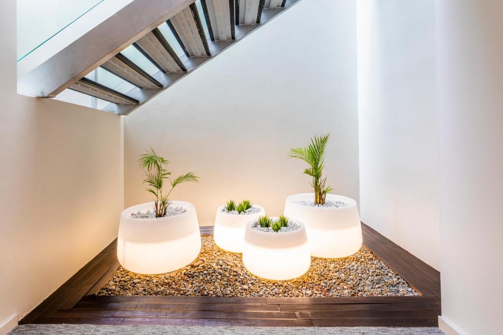 Czar Lisbon Hotel - Resim 40