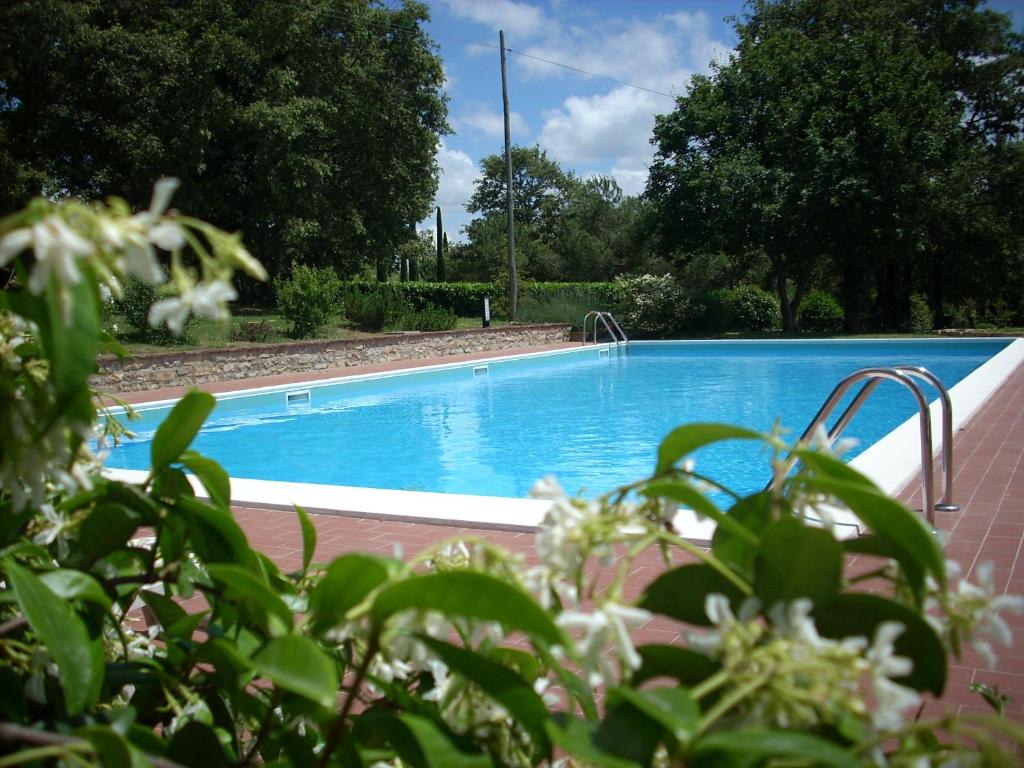 a blue swimming pool in a yard with trees at Le querce felici in Montegabbione