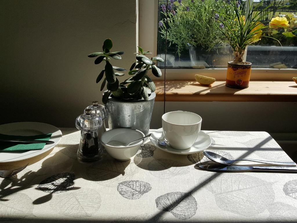 Fotografie z fotogalerie ubytování Hillside Lodge B&B v destinaci Clifden
