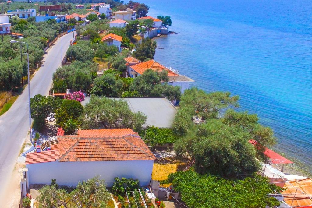 Táj Show holiday homes közelében