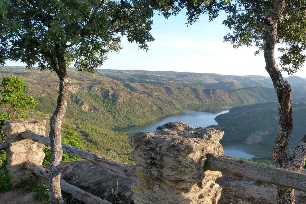 vistas a un río en un valle con árboles en Hostal Arribes del Duero, en Fermoselle