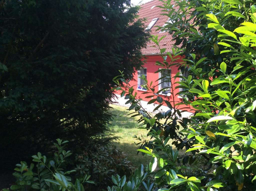 ein rotes Haus wird durch die Bäume gesehen in der Unterkunft Ferienhaus Namatiri in Putbus