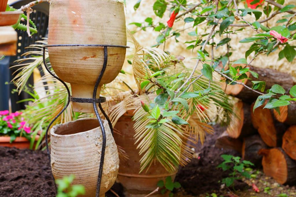 Vonkajšia záhrada v ubytovaní B&B Il Melograno Antico con Terrazza e Giardino