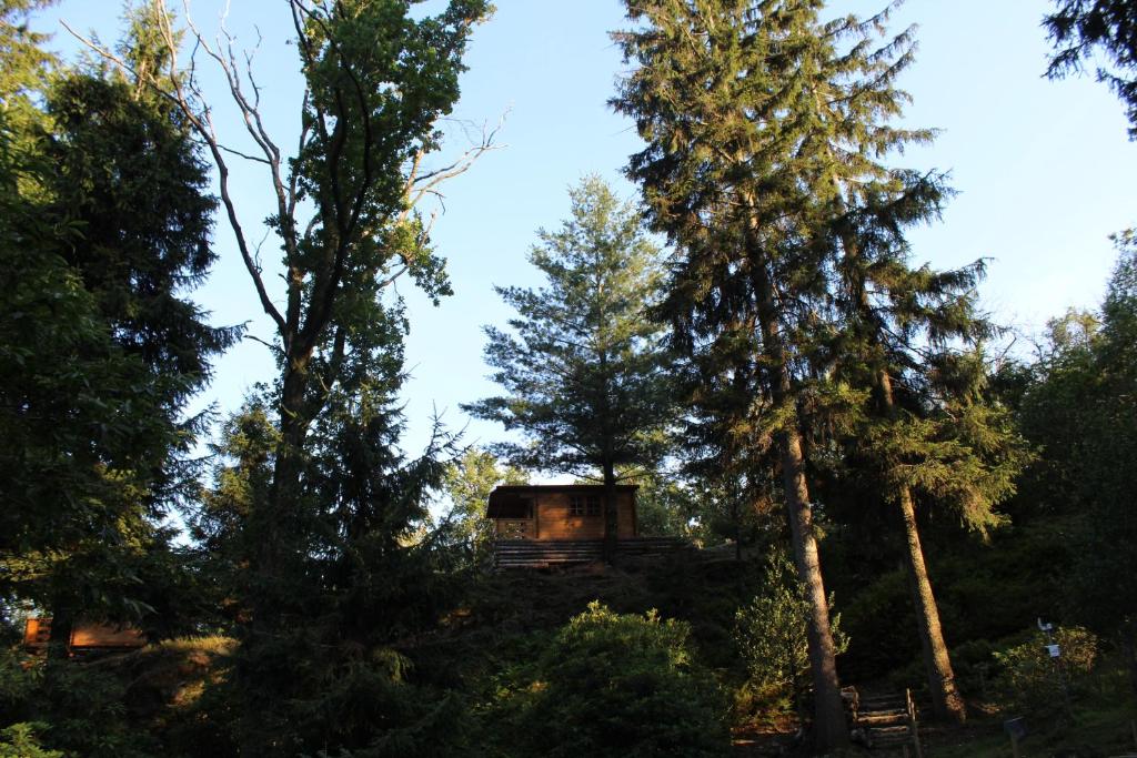 Zahrada ubytování Eco-Resort Parco Botanico Fiorlago