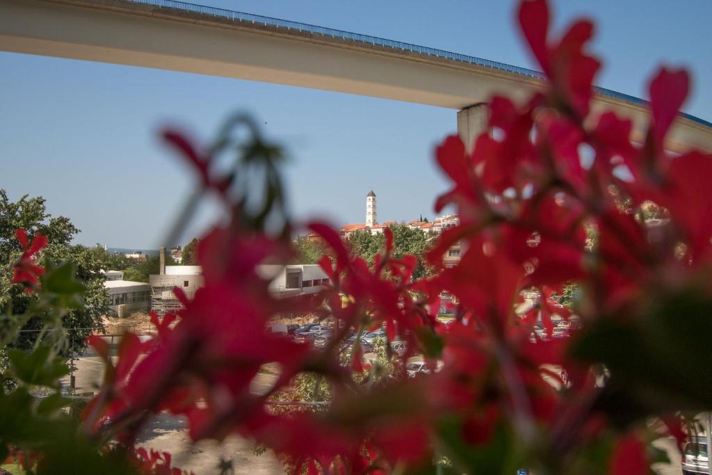 Fotografie z fotogalerie ubytování Apartments Zeljko v destinaci Crikvenica