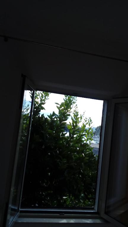 Fotografie z fotogalerie ubytování Guest House Roza v destinaci Vrboska