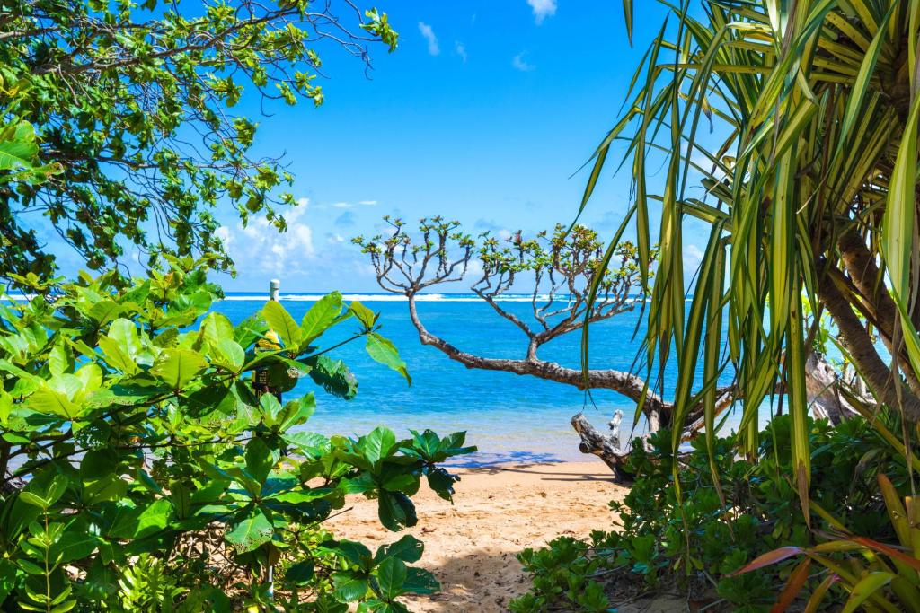 a view of the ocean from a beach with trees at Anini Ohana Hale TVNC#4255 in Kilauea