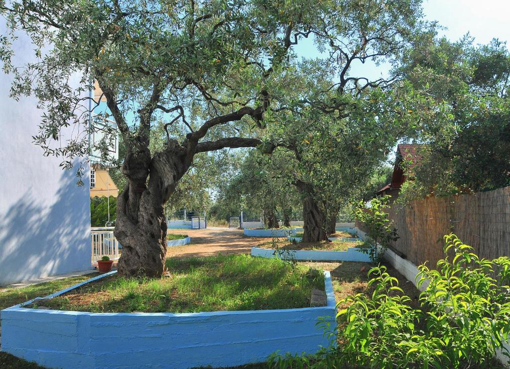 Zahrada ubytování Panagiotis Hotel