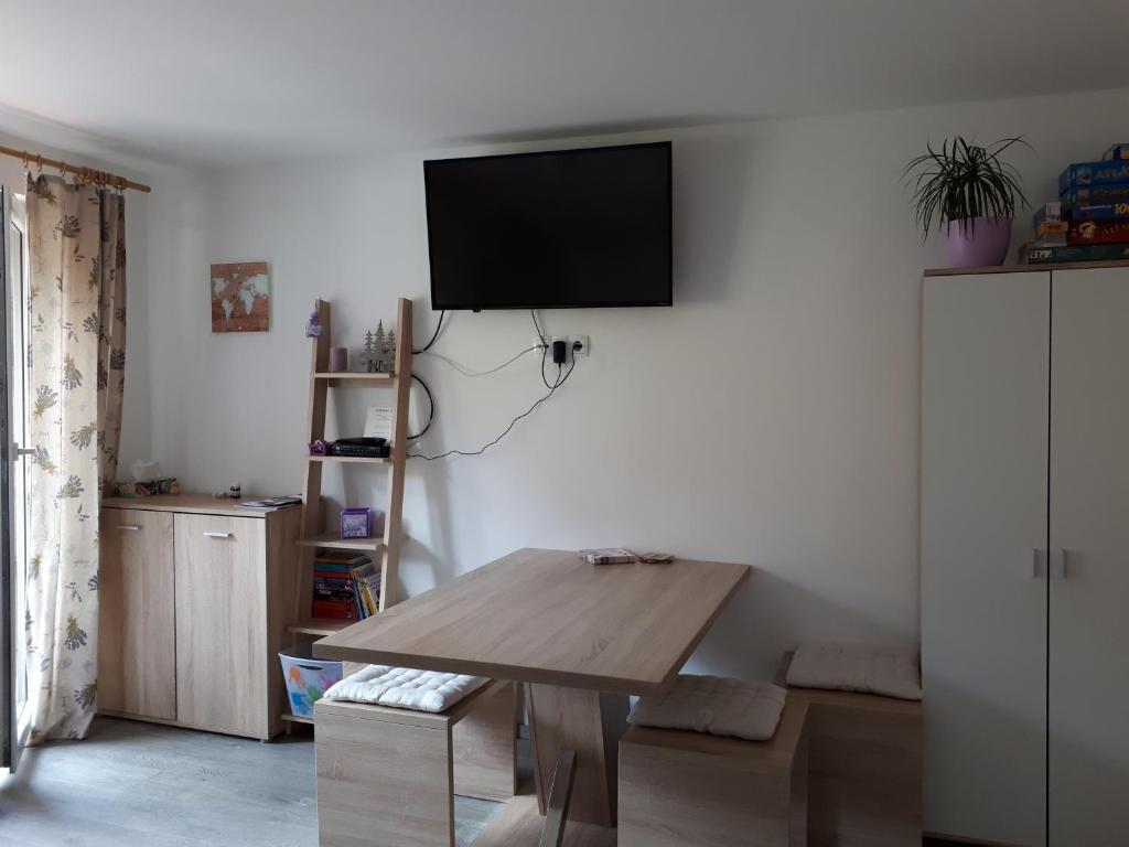 TV a/nebo společenská místnost v ubytování Apartmaji Daniel