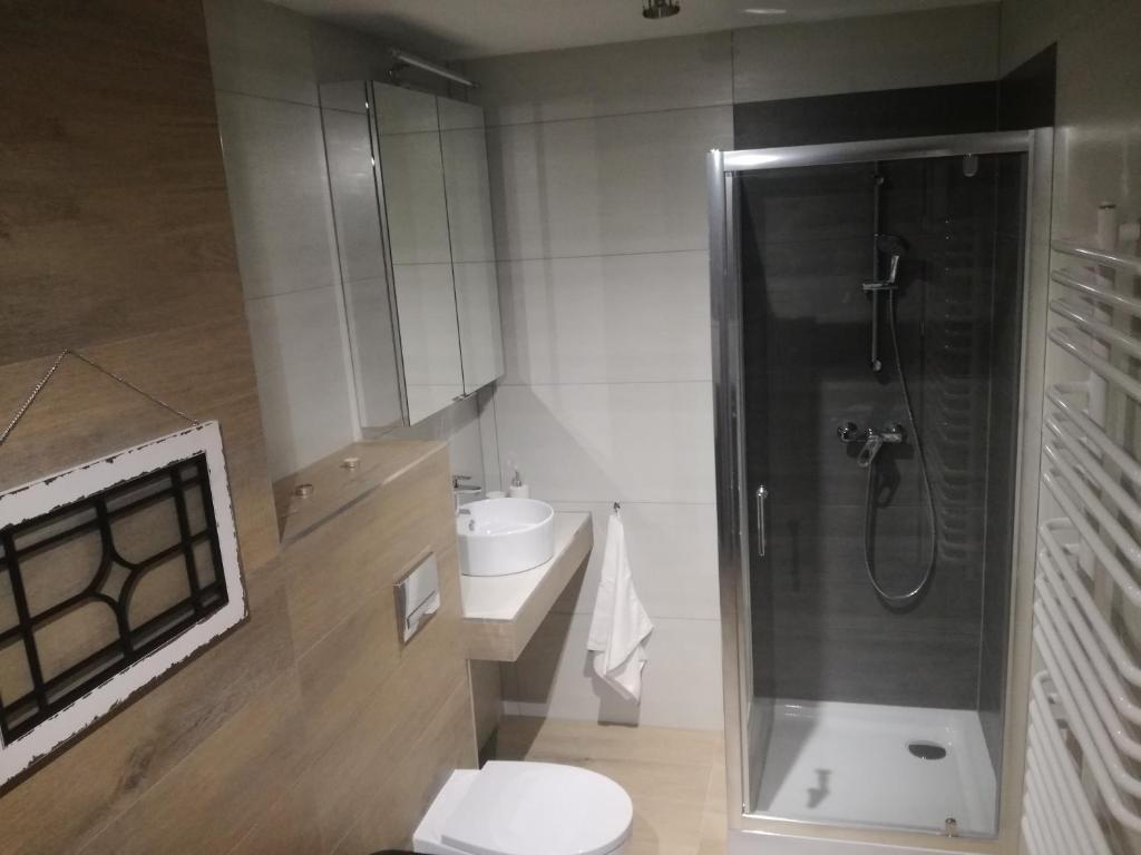 Apartamenty pod Dzikowcem - Chambre Familiale