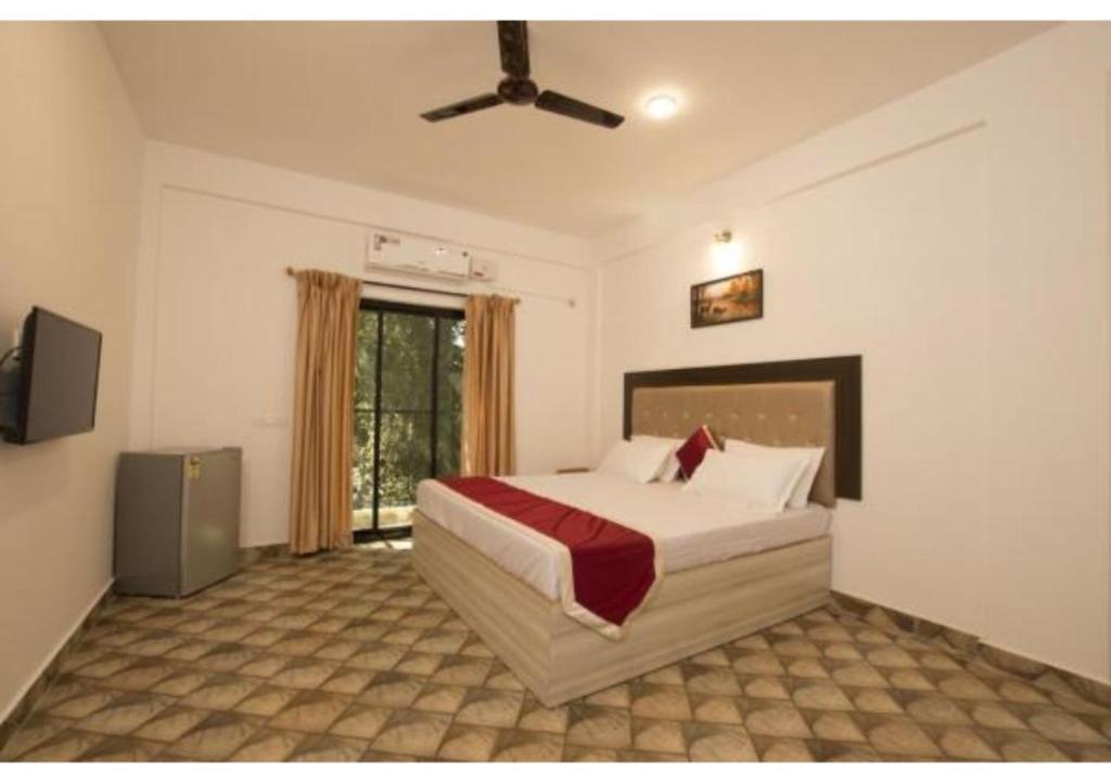 Tom\ - отзывы и видео