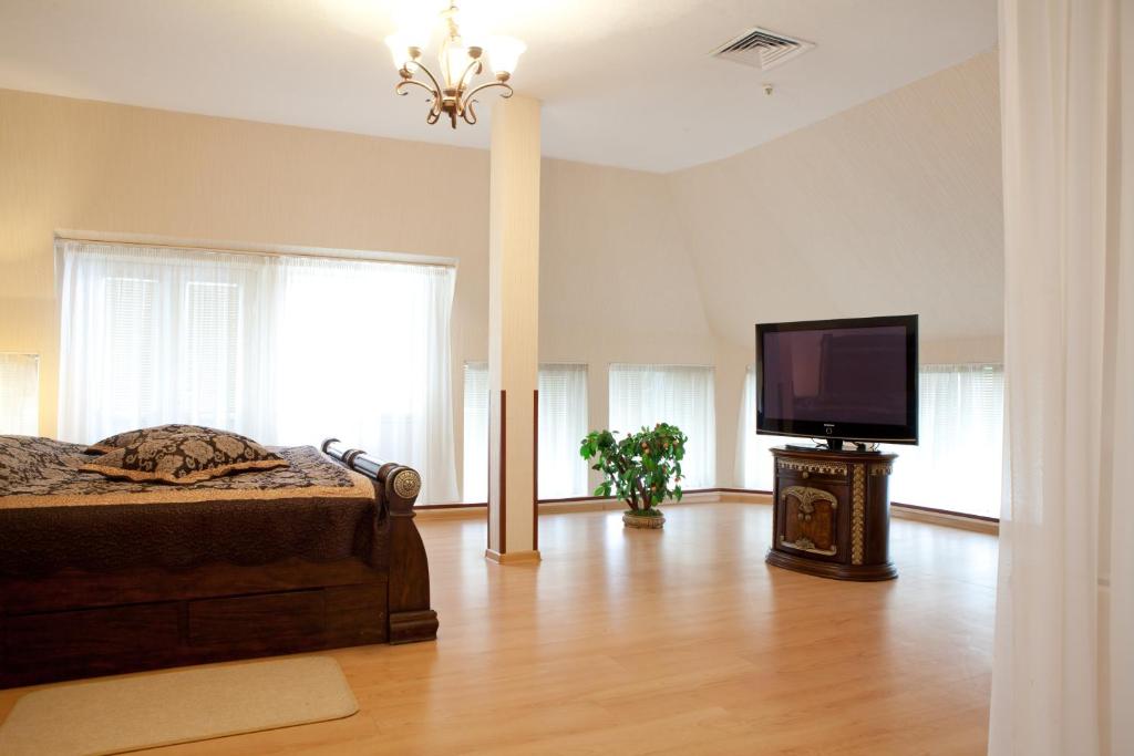 TV a/nebo společenská místnost v ubytování Hotel Complex Verhovina