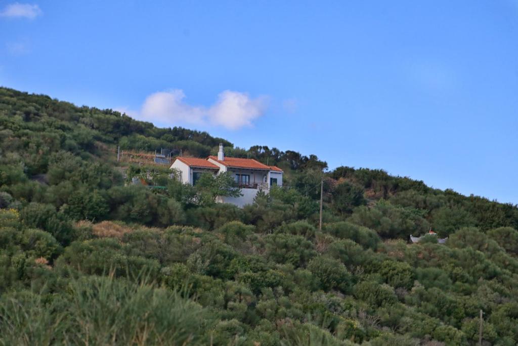 a house on the side of a hill at Villa Tsouredo in Agios Kirykos