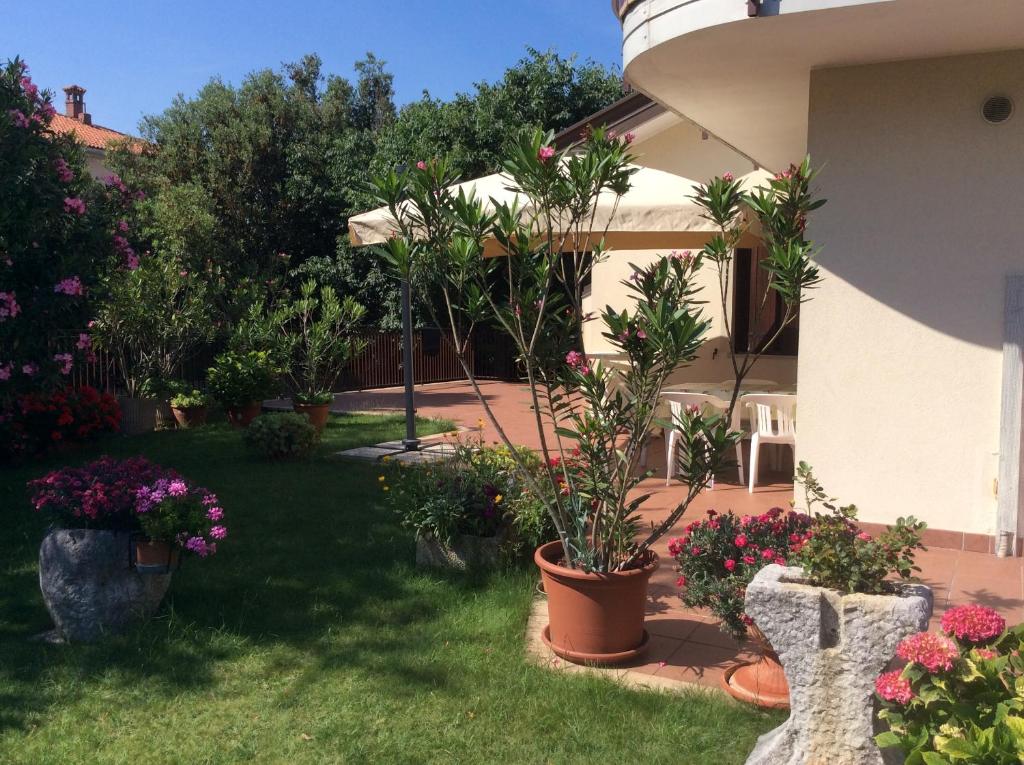 Zahrada ubytování Casa Vacanze All'Orizzonte Duino