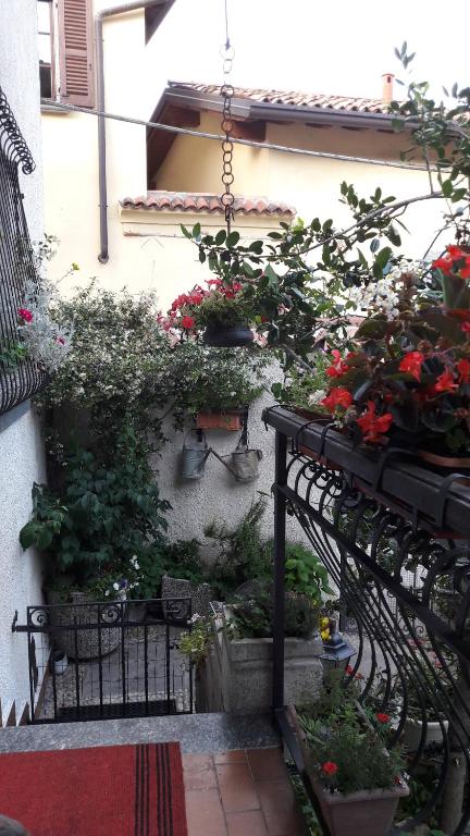 Zahrada ubytování "LA TAVERNA" B&B