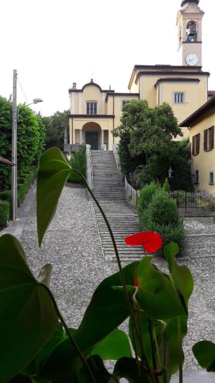 Zahrada ubytování "LA TAVERNA" B&B