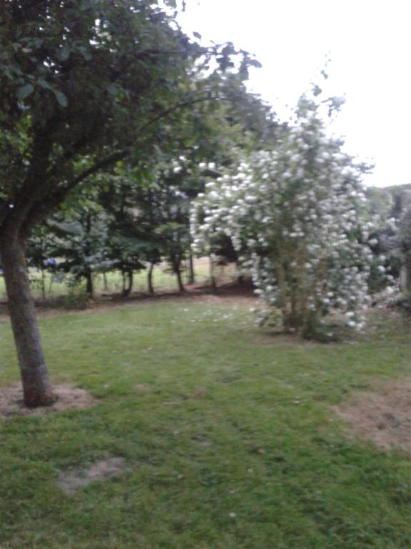 eine Gruppe von Bäumen mit weißen Blumen auf einem Feld in der Unterkunft La Petite Chartreuse in Domvast